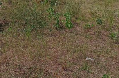 Roadside Land for sale at Ojobi, off the Senya Road