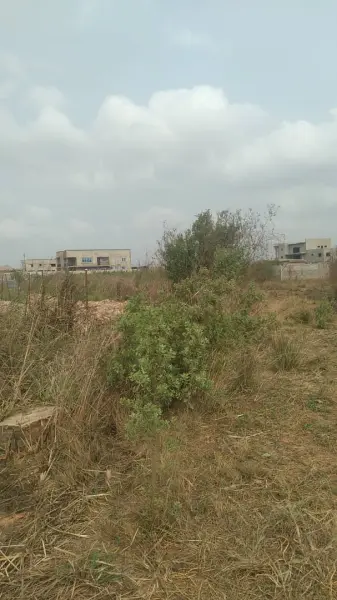 Distress sales! Plot of land for sale at Tema community 25