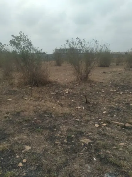 Distress sales! Plot of land for sale at Tema community 25