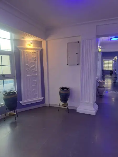 Fully Furnished 19-Rooms Apartment for Sale